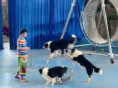 -泉州海丝野生动物世界