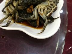 -红灯笼龙凤饭店(宁波老字号店)