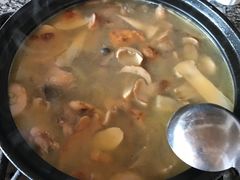 -蘑统田下·野生菌火锅