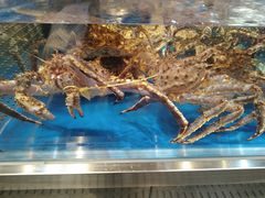 -盒马X会员店(王府井奥莱UP TOWN店)