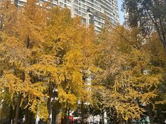 -温江公园