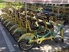 -黄海国家森林公园