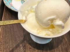 -古树酸奶(八廓南街店)