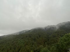 -铁山坪森林公园