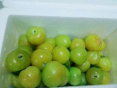 -呼吸森林·生态农庄农家乐私房菜