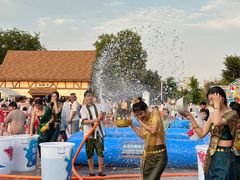 -祥源·阜阳生态乐园