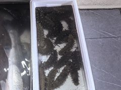 -登州市场(登州路店)