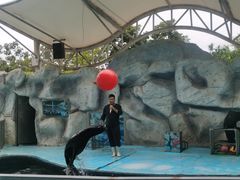 -泉州海丝野生动物世界