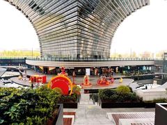 -红梅公园