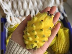 -川道拐耗儿鱼(置信路店)