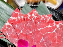 -杨小佳·齐齐哈尔烤肉·烤串(广州店)