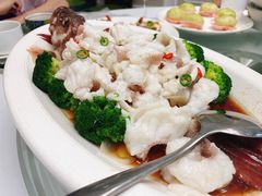 东星斑-南海渔村(火炬园店)
