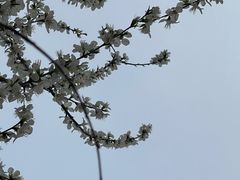 -南开大学(津南校区)