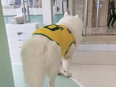 -怪兽屋·羊驼·猫咖·狗咖(俊华广场店)