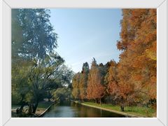 -上海共青森林公园