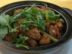 -鸽王世家(东华东路店)