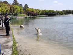-美兰湖景区
