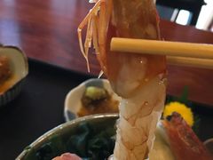 -豊 胜手丼