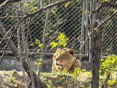 -石家庄市动物园