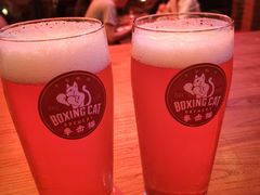 -Boxing Cat Brewery拳击猫精酿啤酒馆(永福店)