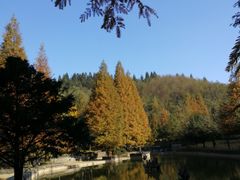 -山王坪喀斯特国家生态公园