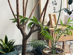 -沏点Trattoria意大利餐厅(新街口店)