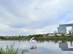 -杭州湾海上花田景区