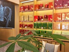 -八马茶业(胜利路旗舰店星海湾茶馆)