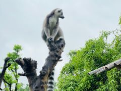 -宁波野生动物园