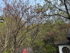 -句容茅山景区