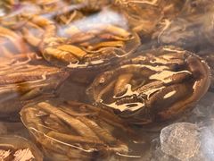 -铭聚章鱼土笋冻(松柏店)