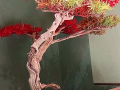 -新何记(青年东路店)