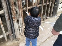 -呀路古热带植物园