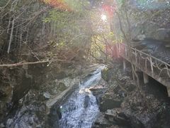 -藏龙百瀑风景区