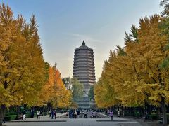 -玲珑塔公园