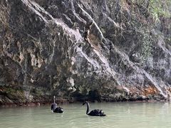 -雅鲁激流探险漂流