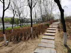 -西安汉城湖景区