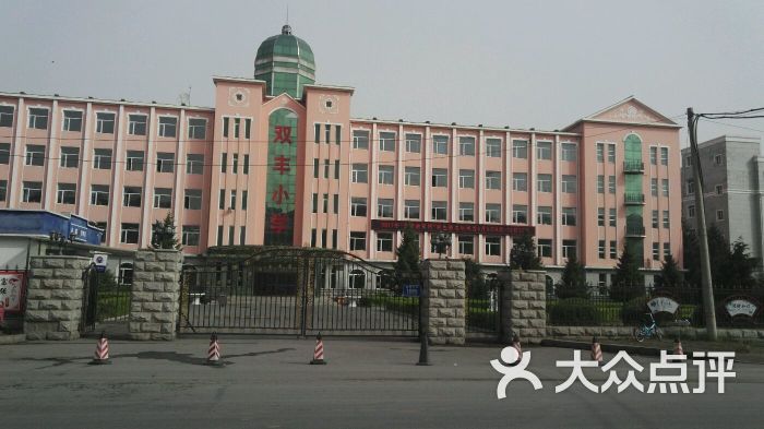 西新镇双丰小学图片 第6张