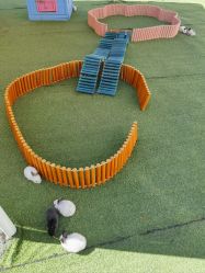 -萌宠亲子动物乐园(槐房万达店)