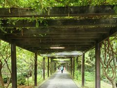 -九龙潭景区
