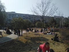 -沙河三洞古桥公园