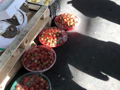 -江杨农产品批发市场