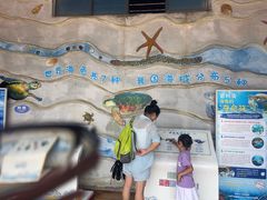 -广东惠东海龟国家级自然保护区