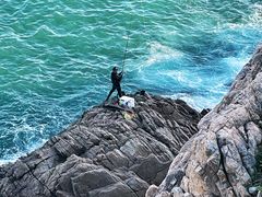 -广东惠东海龟国家级自然保护区