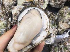 -蚝专家(北滘店)