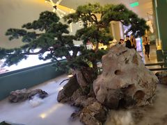 -潮上潮(南中环店)