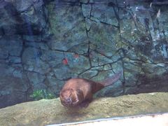 -广东省拱北口岸中国旅行社(华宾营业部)