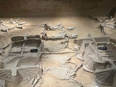 -洛阳周王城天子驾六博物馆