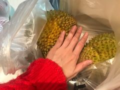 -菜园坝水果市场