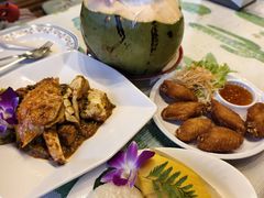 -Jungle Kitchen